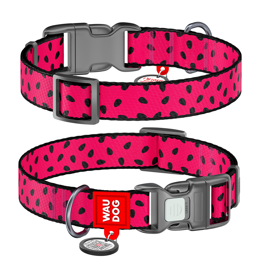 Нашийник для собак нейлоновий WAUDOG Nylon з QR паспортом, малюнок 