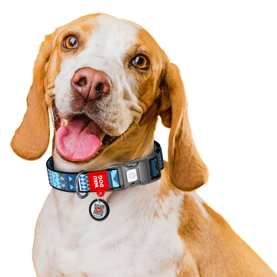 Нашийник для собак нейлоновий WAUDOG Nylon з QR паспортом, малюнок 