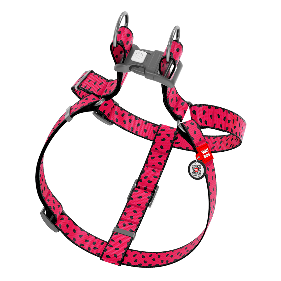 Шлея для собак WAUDOG Nylon з QR паспортом, малюнок 