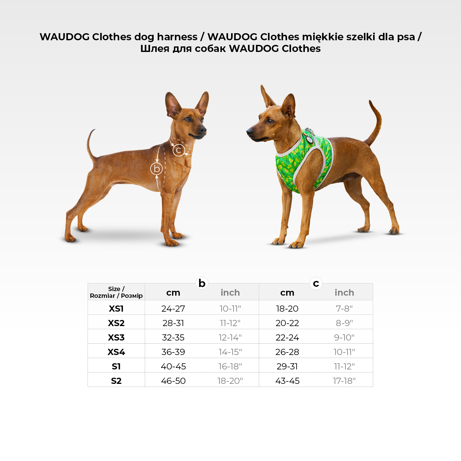 Шлея для собак м'яка WAUDOG Clothes з QR паспортом, малюнок 