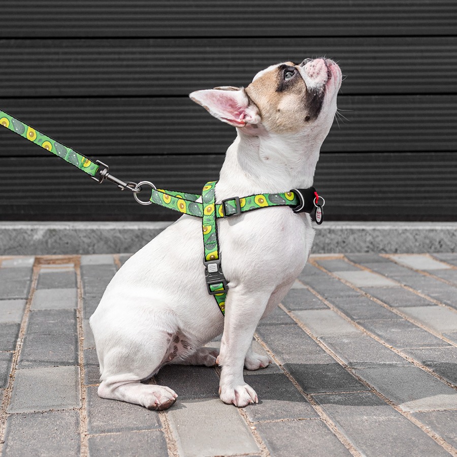 Шлея для собак швидкознімна WAUDOG Nylon з QR паспортом, малюнок 