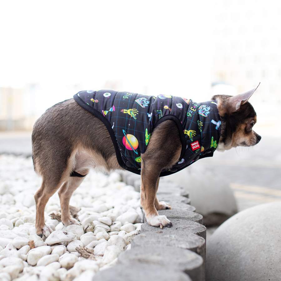 Курточка для собак WAUDOG Clothes малюнок 