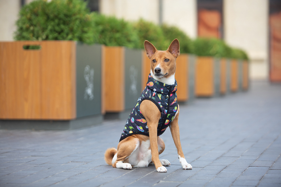 Курточка для собак WAUDOG Clothes малюнок 