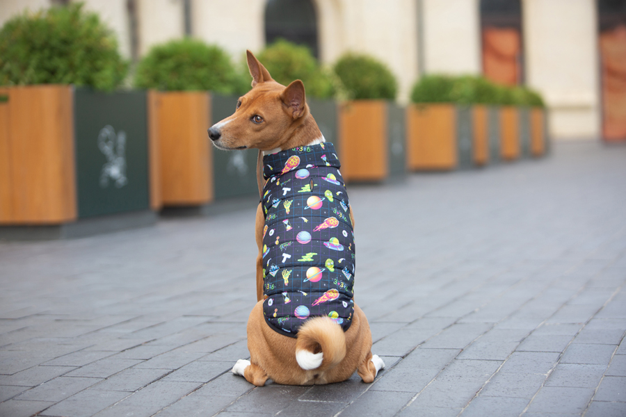 Курточка для собак WAUDOG Clothes малюнок 