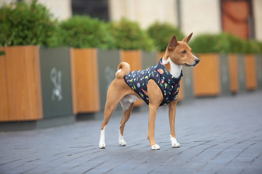 Курточка для собак WAUDOG Clothes малюнок 