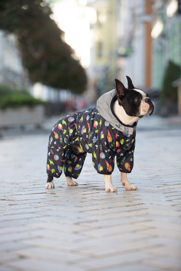 Комбінезон для собак WAUDOG Clothes малюнок 