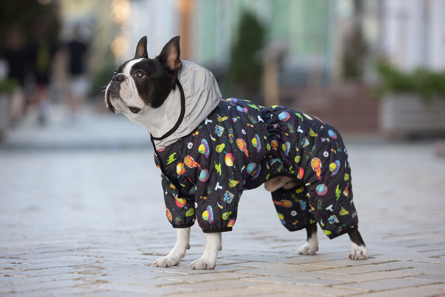 Комбінезон для собак WAUDOG Clothes малюнок 