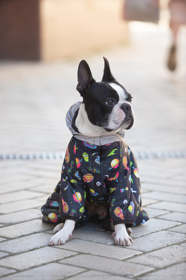 Комбінезон для собак WAUDOG Clothes малюнок 