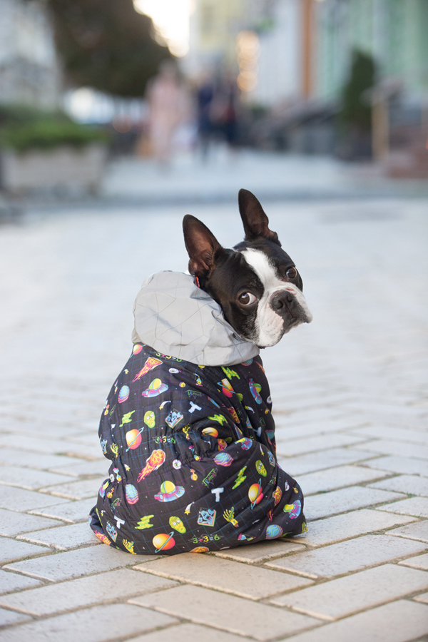 Комбінезон для собак WAUDOG Clothes малюнок 