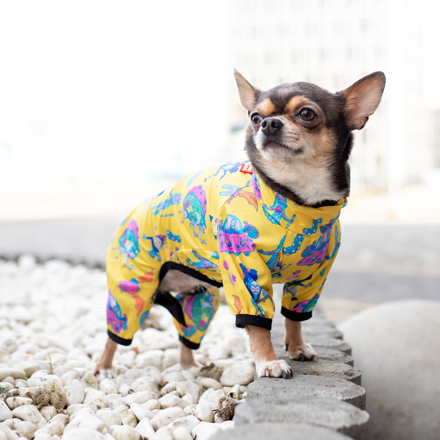 Вітровка для собак WAUDOG Clothes, малюнок