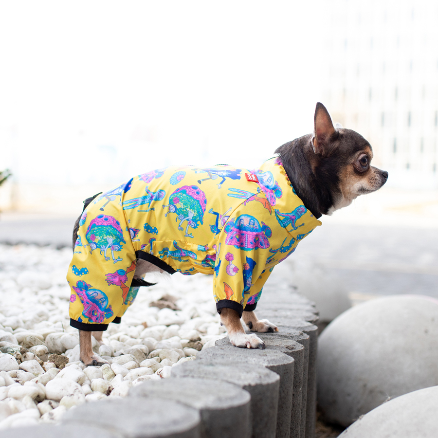 Вітровка для собак WAUDOG Clothes, малюнок