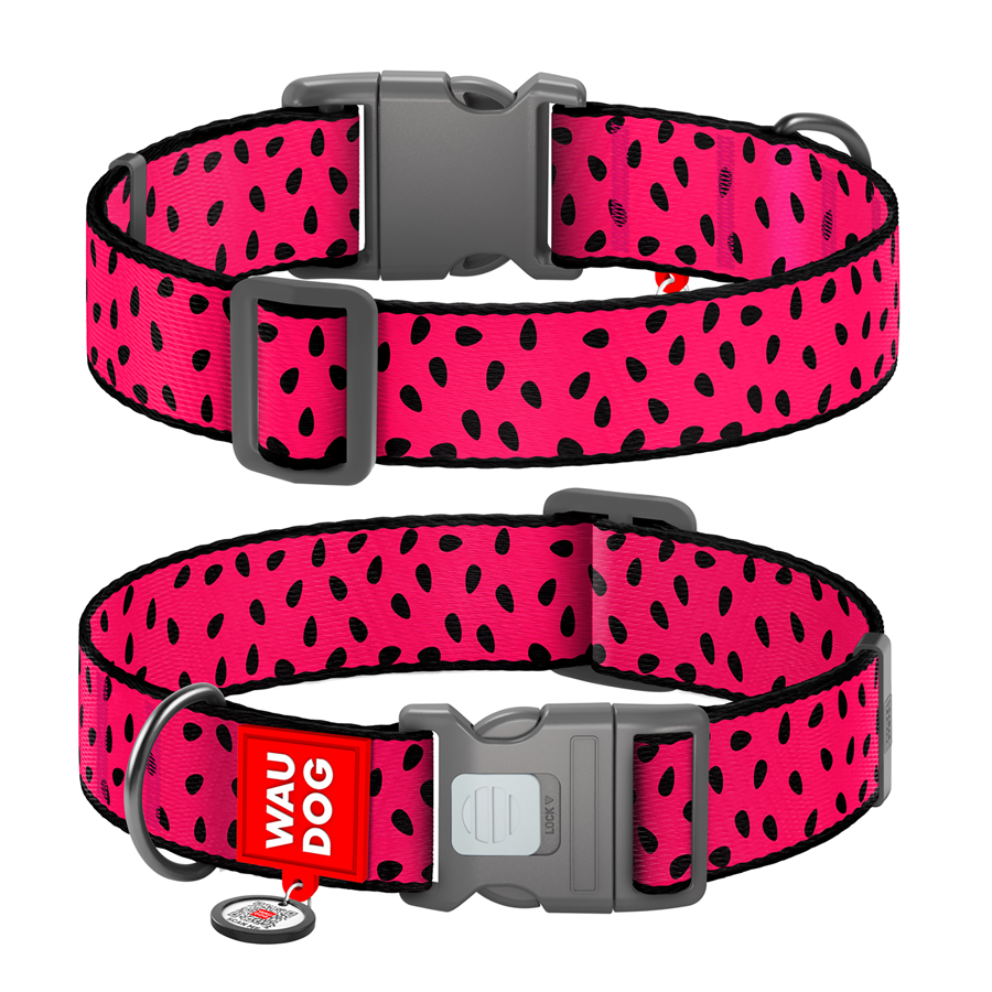 Нашийник для собак нейлоновий WAUDOG Nylon з QR паспортом, малюнок 
