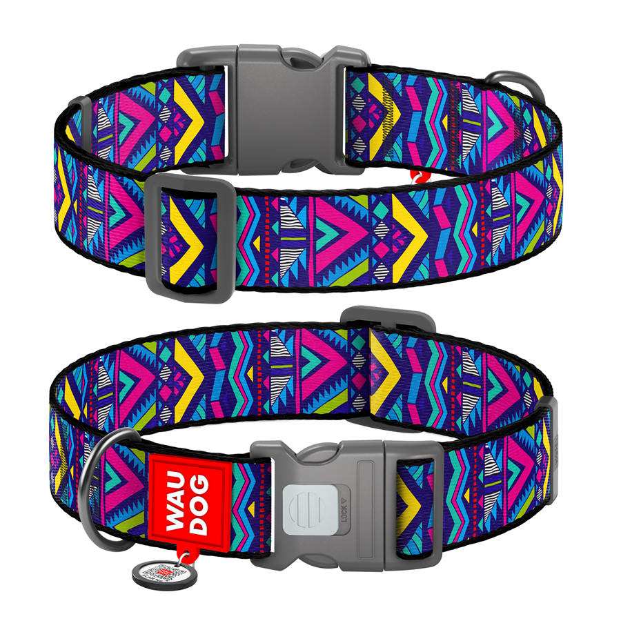 Нашийник для собак нейлоновий WAUDOG Nylon з QR паспортом, малюнок 