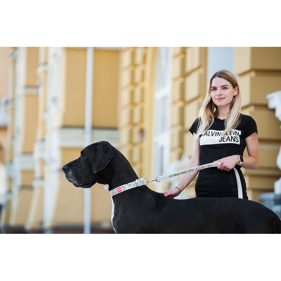 Повідець WAUDOG Design з малюнком  