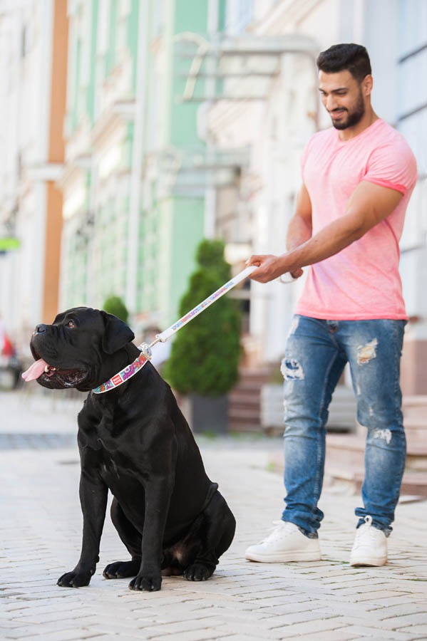 Повідець WAUDOG Design з малюнком  