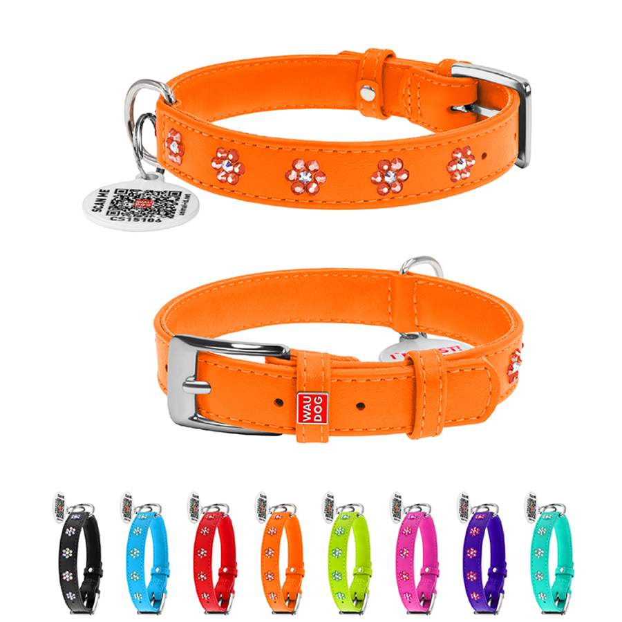 Нашийник для собак шкіряний WAUDOG Glamour з QR паспортом, з клейовими стразами 