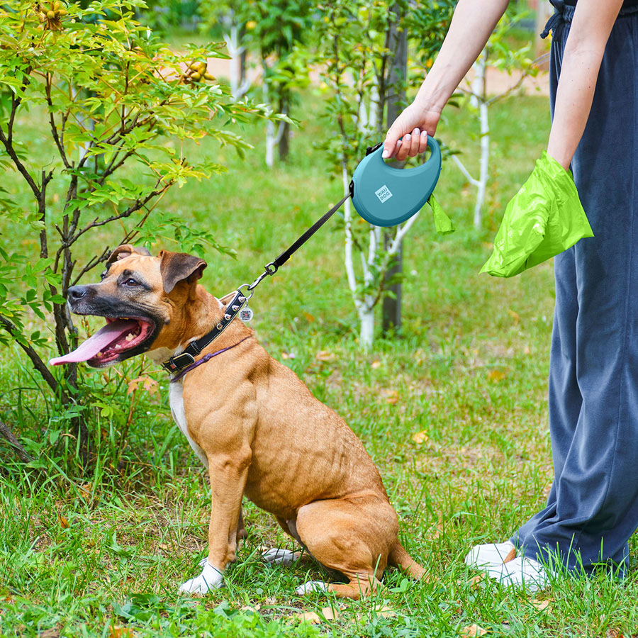 Повідець-рулетка для собак WAUDOG R-leash з контейнером для пакетів, світловідбивна стрічка, L, до 40 кг, 5 м, блакитний