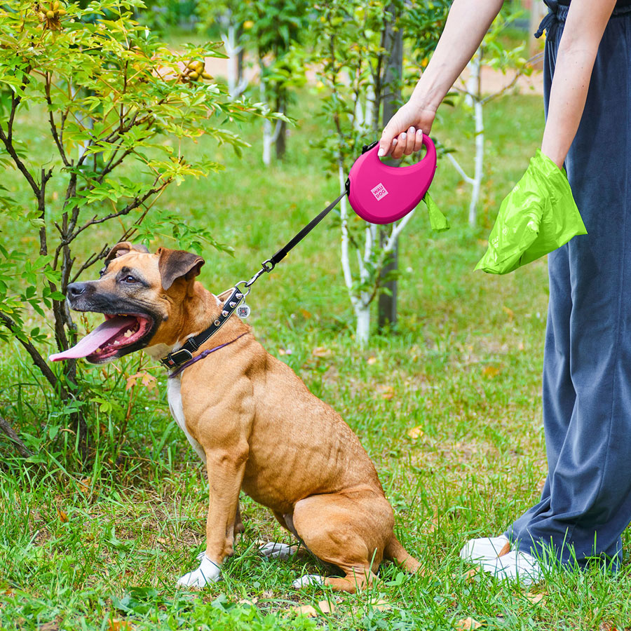 Повідець-рулетка для собак WAUDOG R-leash з контейнером для пакетів, світловідбивна стрічка, L, до 40 кг, 5 м, рожевий