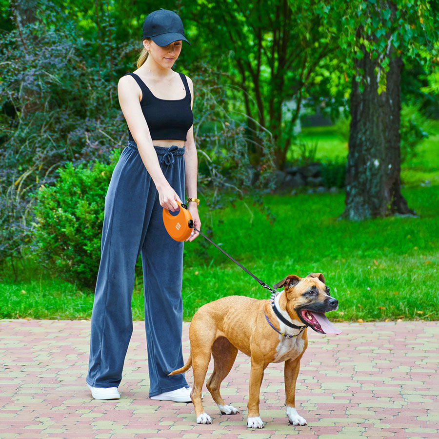 Повідець-рулетка для собак WAUDOG R-leash з контейнером для пакетів, світловідбивна стрічка, L, до 40 кг, 5 м, помаранчевий
