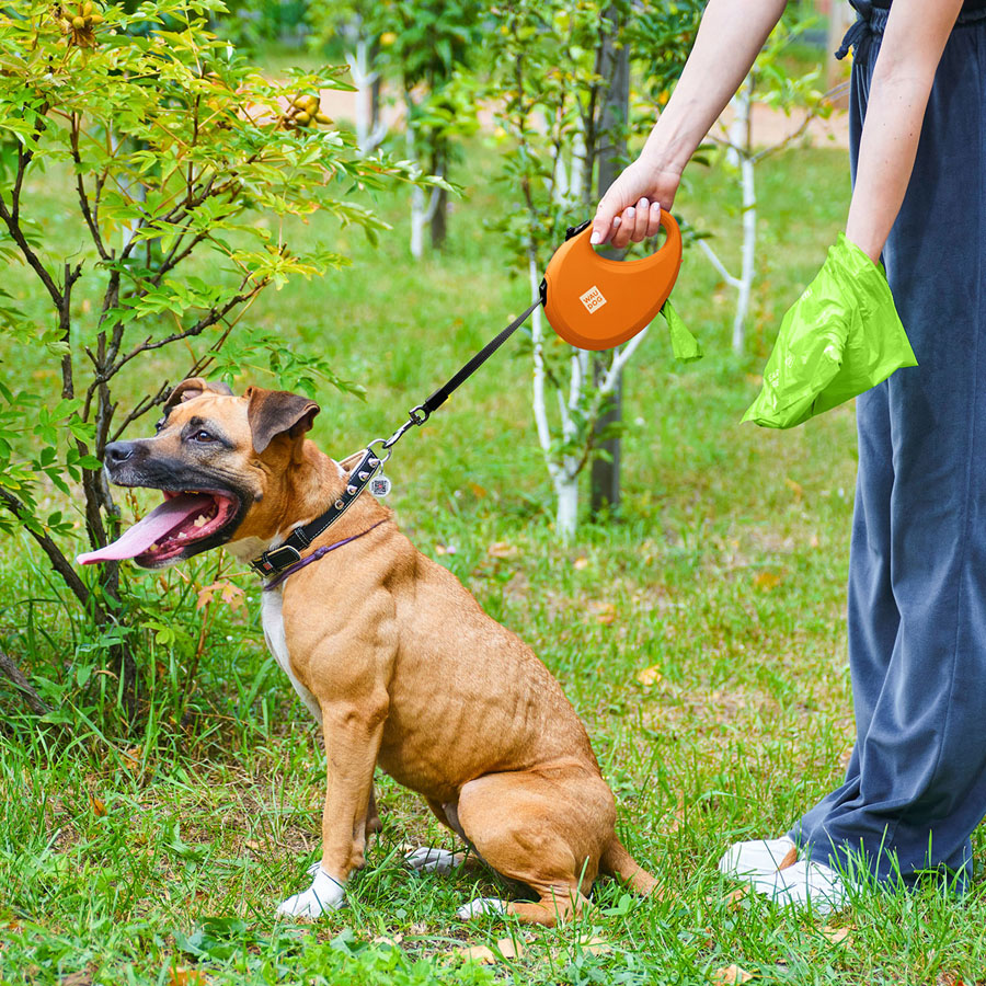 Повідець-рулетка для собак WAUDOG R-leash з контейнером для пакетів, світловідбивна стрічка, L, до 40 кг, 5 м, помаранчевий