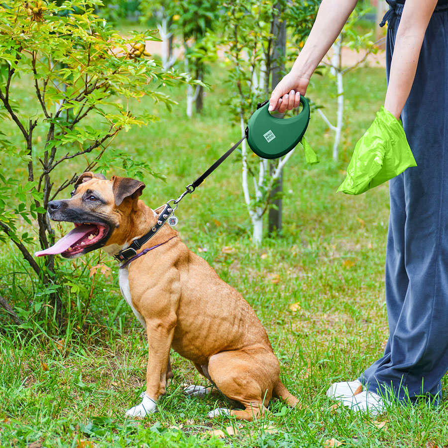 Повідець-рулетка для собак WAUDOG R-leash з контейнером для пакетів, світловідбивна стрічка, L, до 40 кг, 5 м, зелений