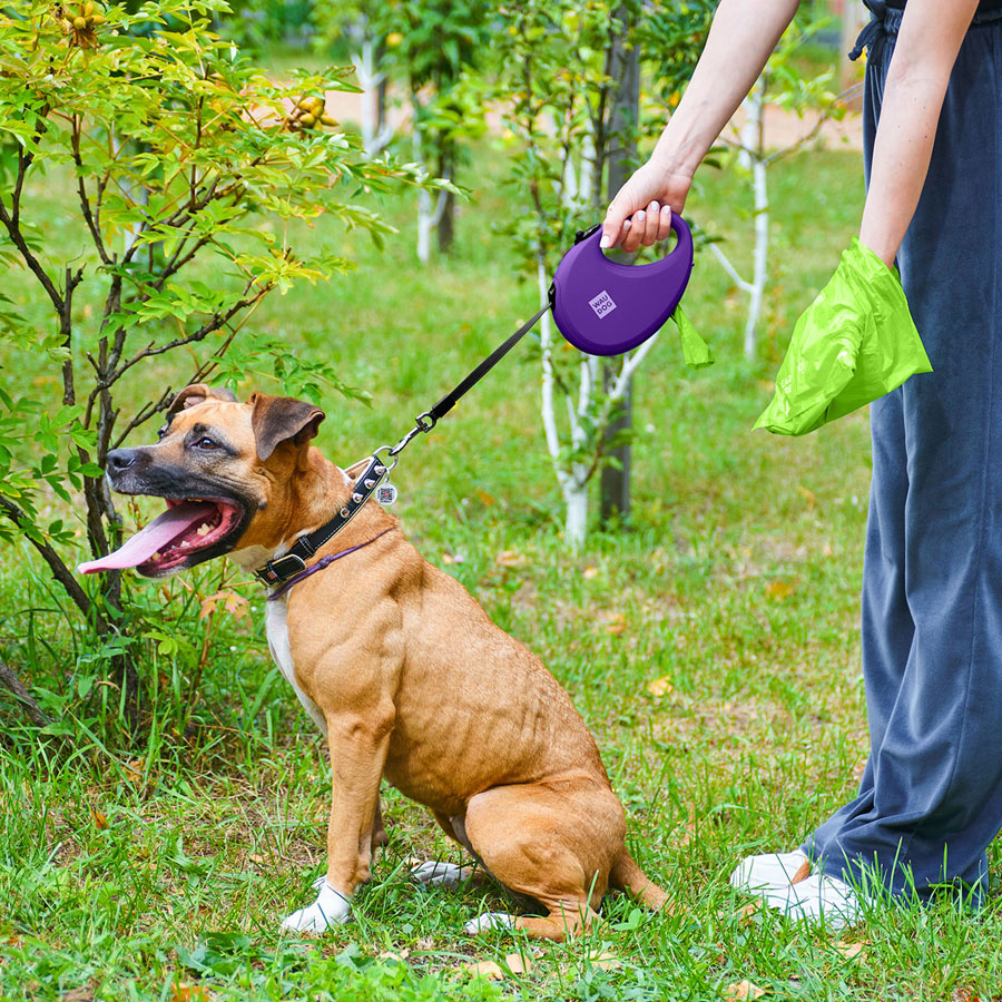Повідець-рулетка для собак WAUDOG R-leash з контейнером для пакетів, світловідбивна стрічка, L, до 40 кг, 5 м, фіолетовий