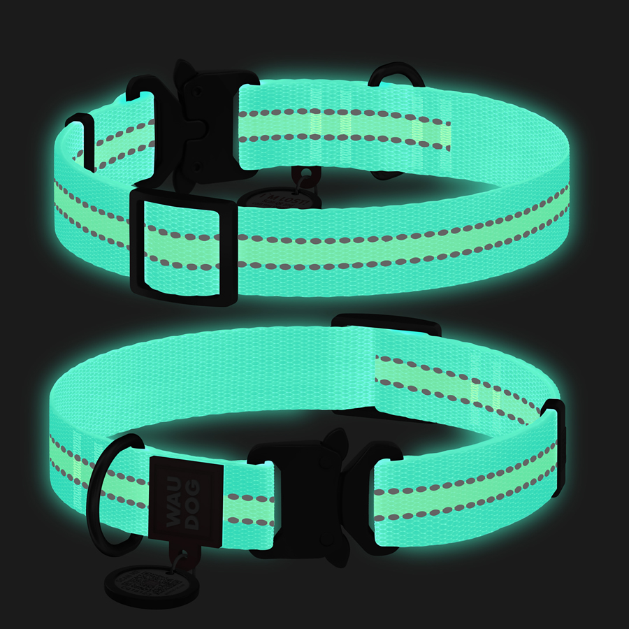 Нашийник для собак нейлоновий WAUDOG Nylon з QR паспортом, світлонакопичувальний/світловідбивний, металева пряжка-фастекс, Ш 25 мм, Дов 37-58 см блакитний