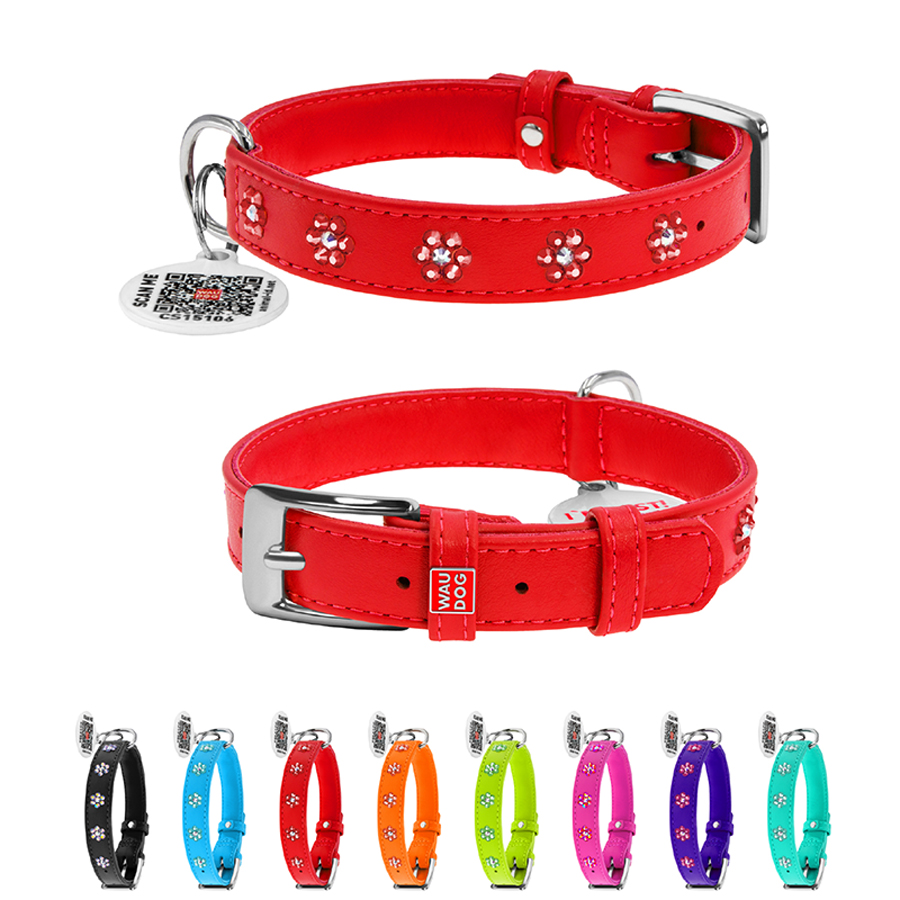 Нашийник для собак шкіряний WAUDOG Glamour з QR паспортом, з клейовими стразами 