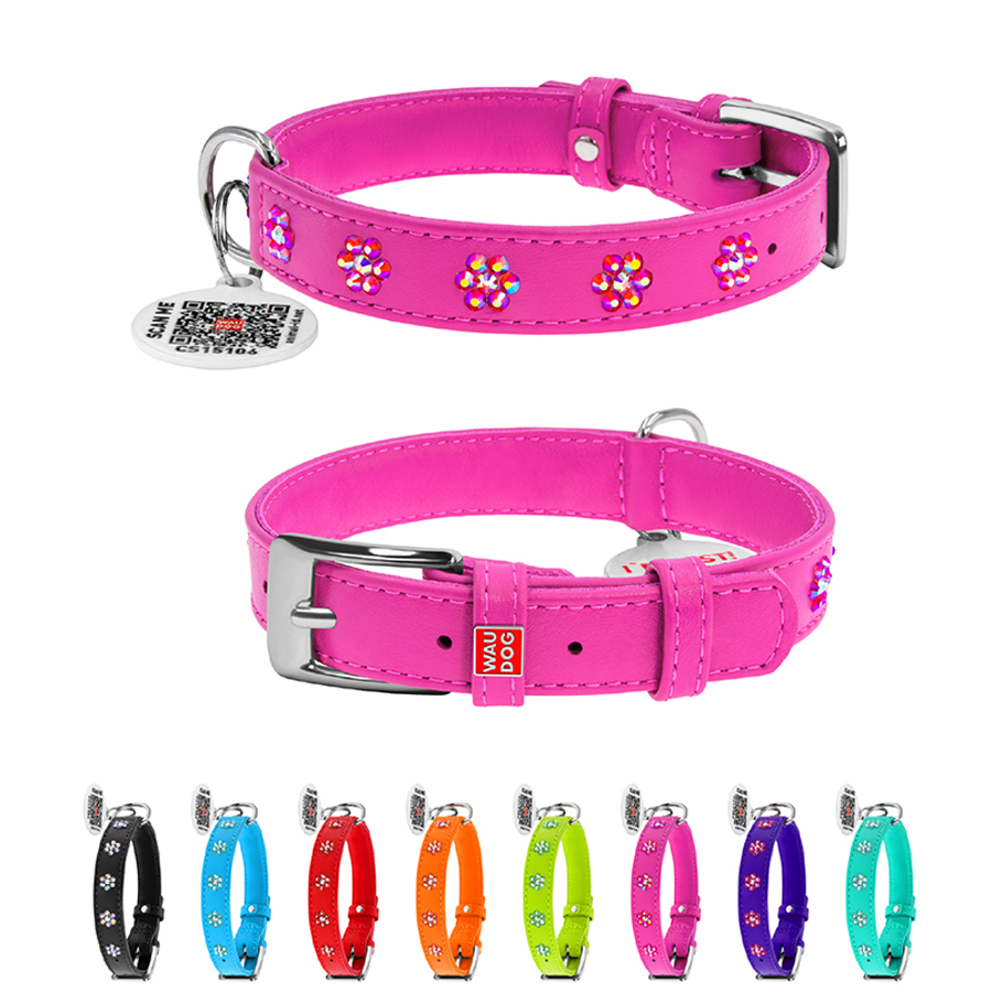 Нашийник для собак шкіряний WAUDOG Glamour з QR паспортом, з клейовими стразами 