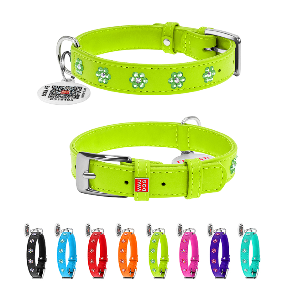 Нашийник для собак шкіряний WAUDOG Glamour з QR паспортом, з клейовими стразами 