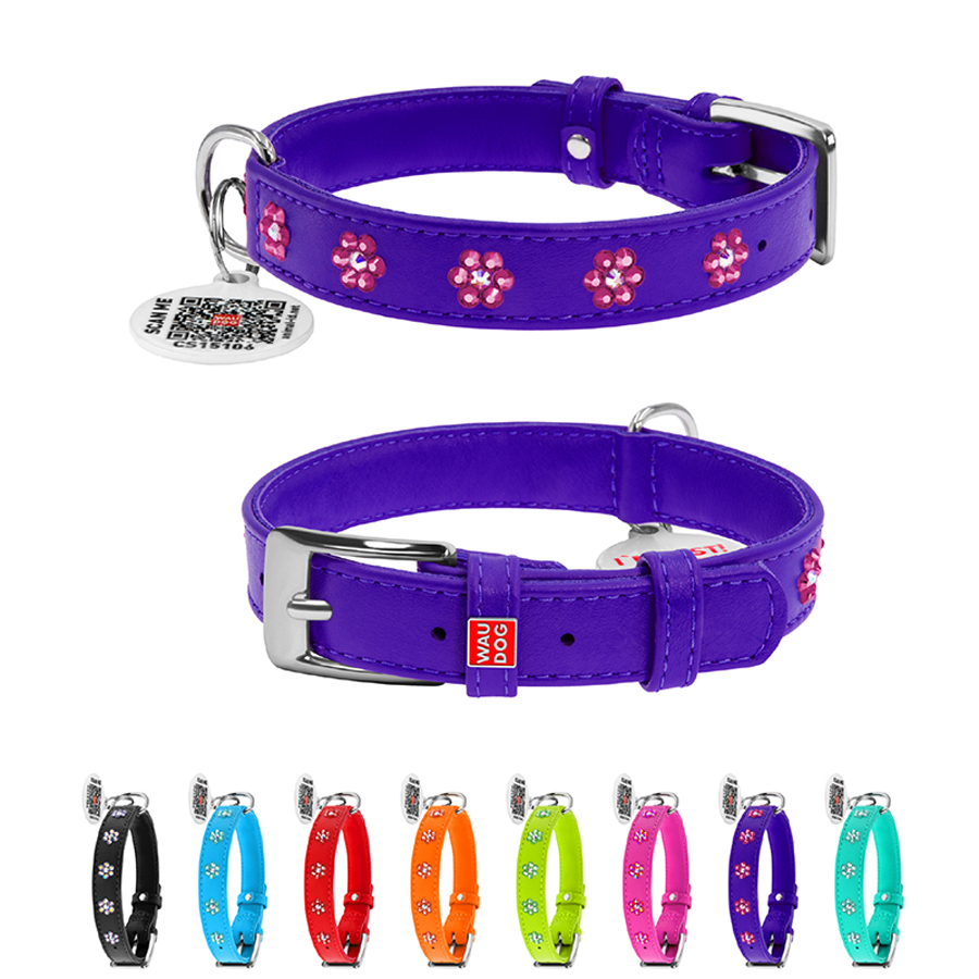 Нашийник для собак шкіряний WAUDOG Glamour з QR паспортом, з клейовими стразами 