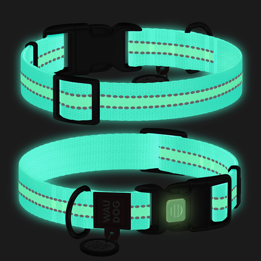 Нашийник для собак нейлоновий WAUDOG Nylon з QR паспортом, світлонакопичувальний/світловідбивний, пластиковий фастекс, Ш 25 мм, Дов 37-58 см блакитний