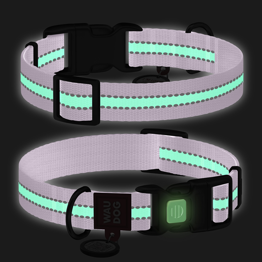 Нашийник для собак нейлоновий WAUDOG Nylon з QR паспортом, світлонакопичувальний/світловідбивний, пластиковий фастекс, Ш 25 мм, Дов 33-49 см фіолетовий