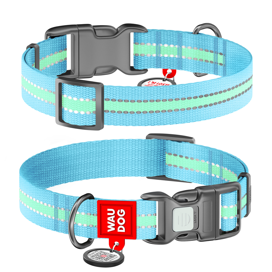 Нашийник для собак нейлоновий WAUDOG Nylon з QR паспортом, світлонакопичувальний/світловідбивний, пластиковий фастекс, Ш 25 мм, Дов 33-49 см блакитний