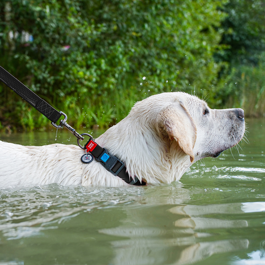 Нашийник для собак водостійкий WAUDOG Waterproof c QR паспортом, пластикова пряжка-фастекс, Ш 25 мм, Дов 38-58 см, чорний