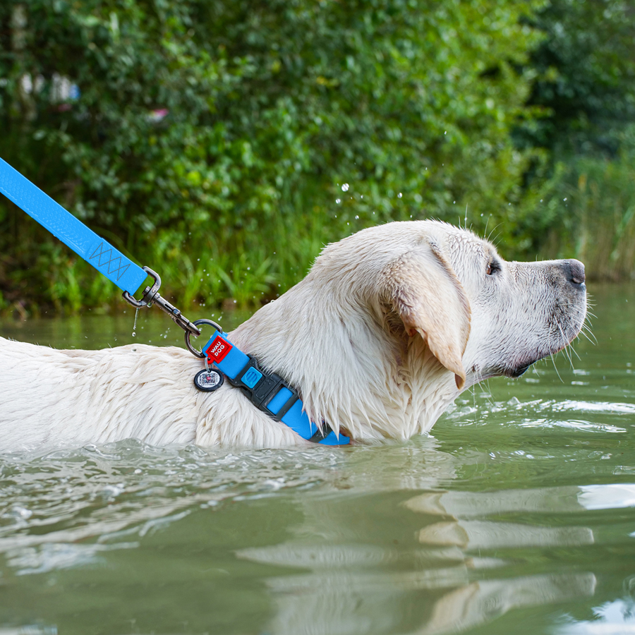 Нашийник для собак водостійкий WAUDOG Waterproof c QR паспортом, пластикова пряжка-фастекс, Ш 25 мм, Дов 38-58 см, блакитний