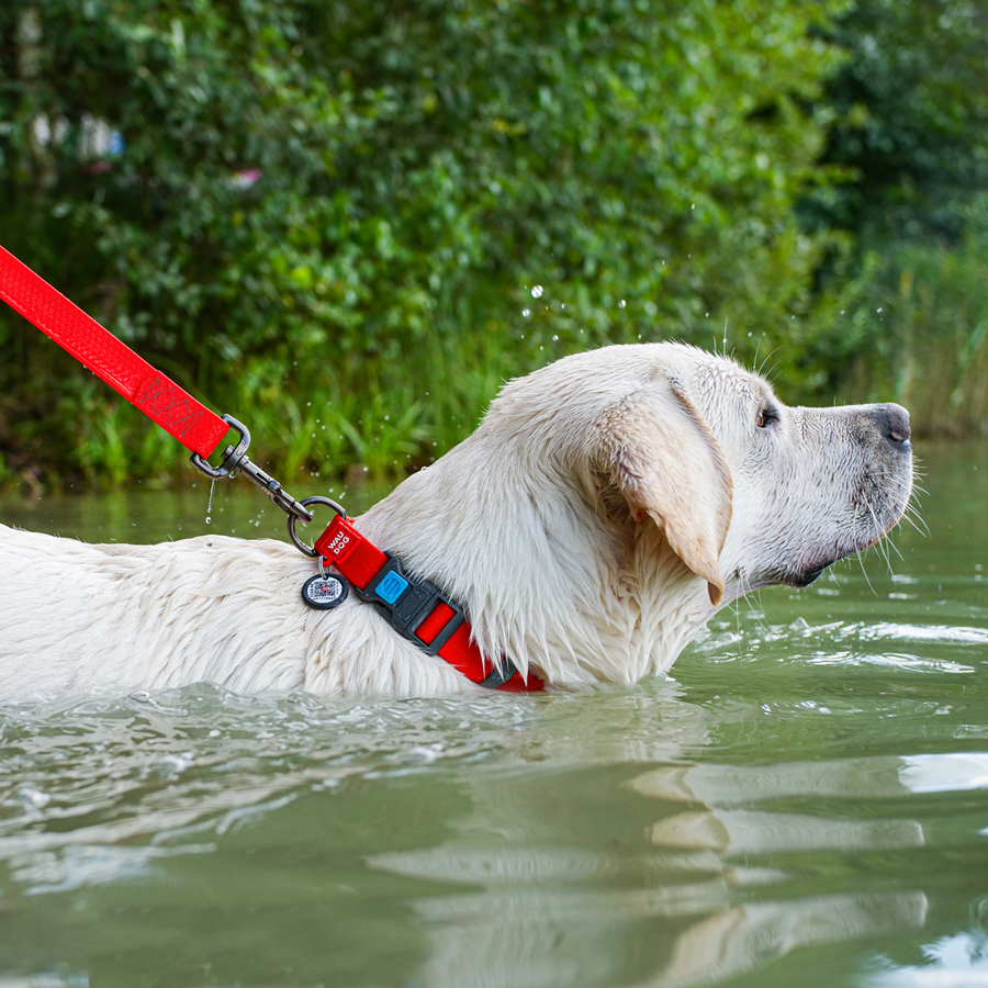 Нашийник для собак водостійкий WAUDOG Waterproof c QR паспортом, пластикова пряжка-фастекс, Ш 25 мм, Дов 38-58 см, червоний