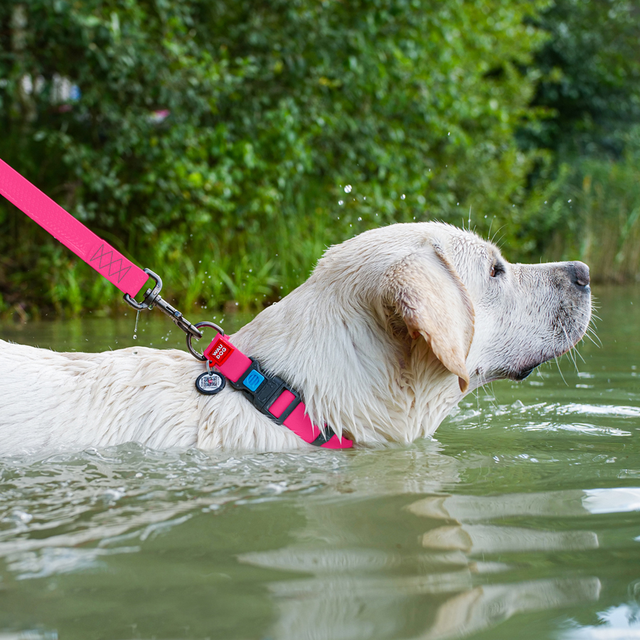 Нашийник для собак водостійкий WAUDOG Waterproof c QR паспортом, пластикова пряжка-фастекс, Ш 25 мм, Дов 38-58 см, рожевий