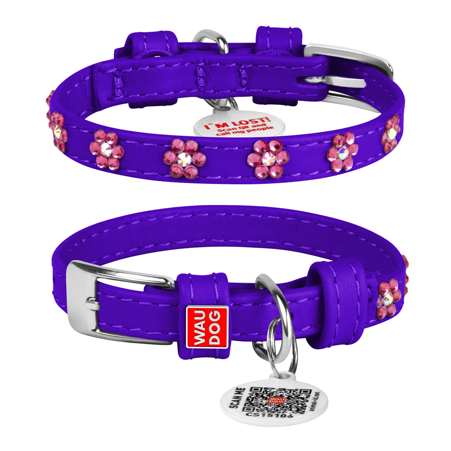 Нашийник для собак шкіряний WAUDOG Glamour з QR паспортом, з клейовими стразами 