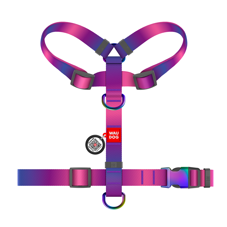 Шлея для собак анатомічна H-подібна WAUDOG Nylon Recycled з QR-паспортом, градієнт, M, Ш 20 мм, А 40-70, В 50-80 фіолетовий