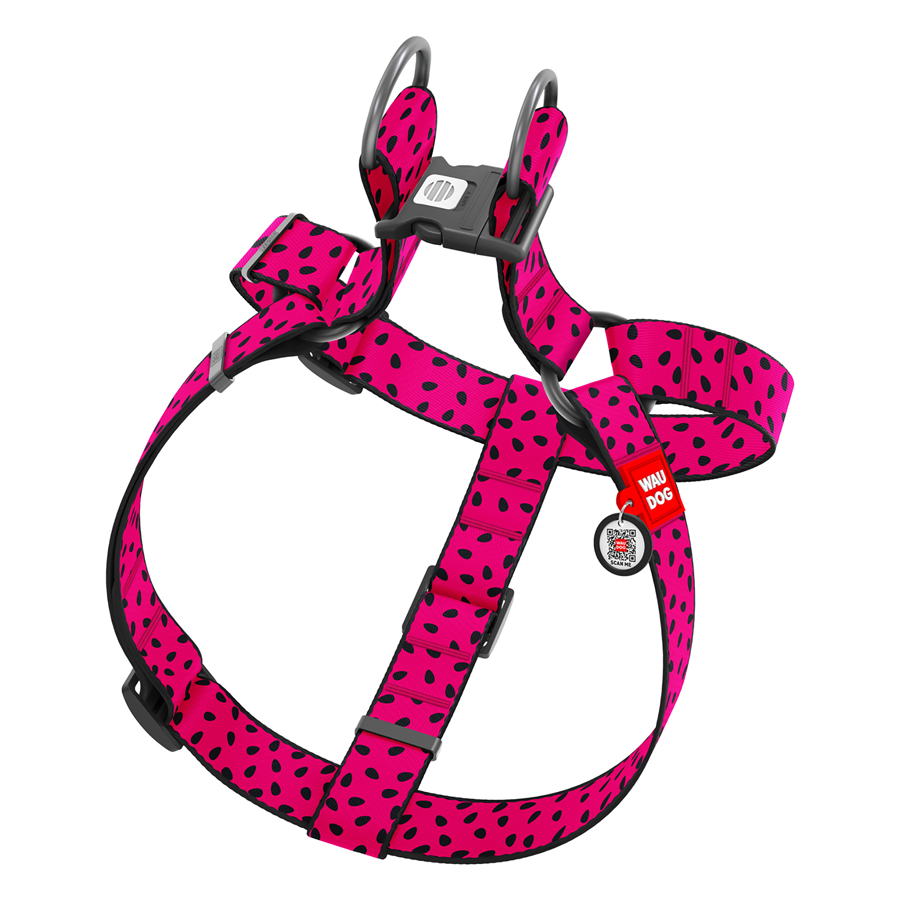 Шлея для собак WAUDOG Nylon з QR паспортом, малюнок 
