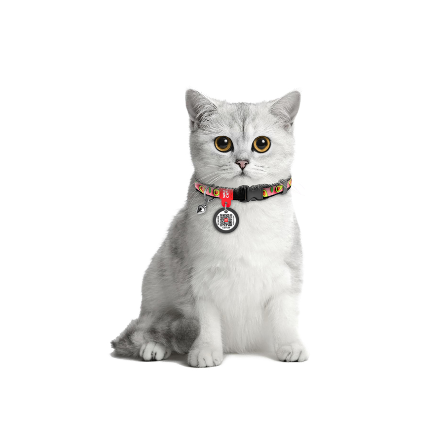Нашийник для котів нейлоновий WAUCAT Nylon з QR паспортом, малюнок 