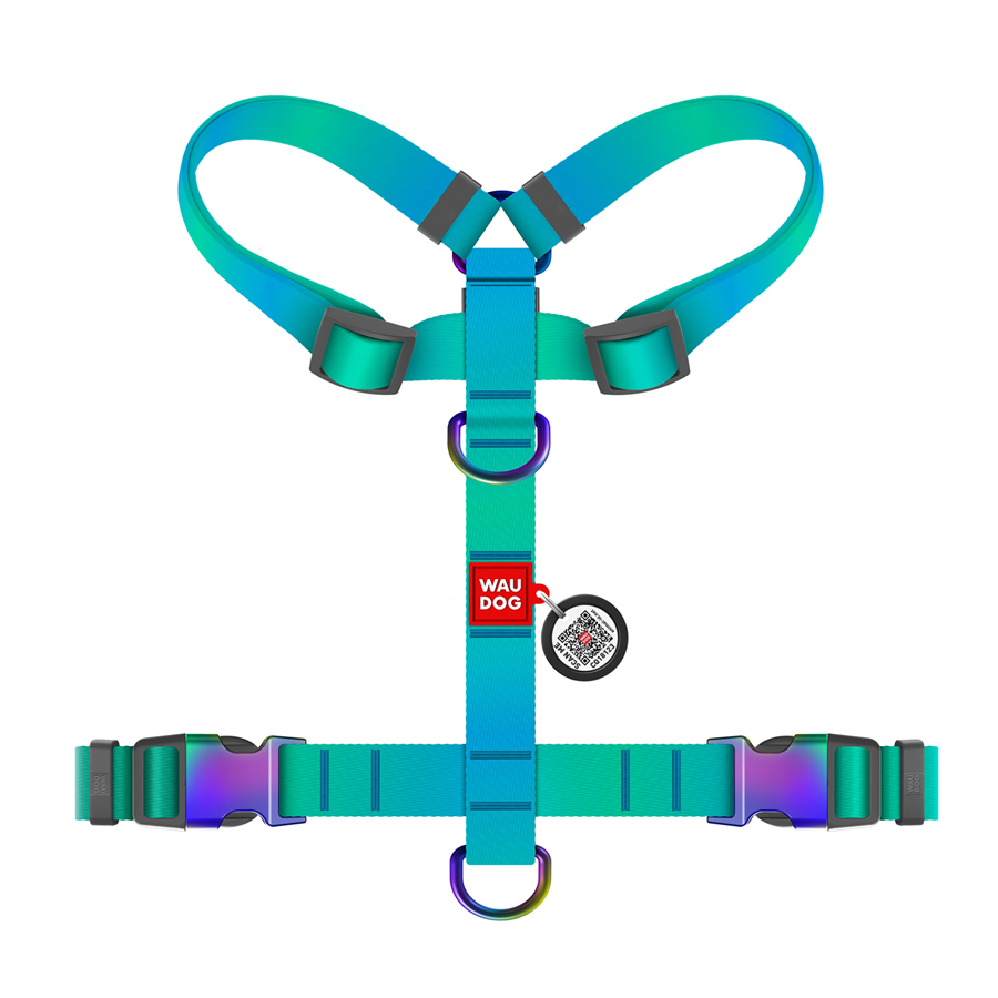 Шлея для собак анатомічна H-подібна WAUDOG Nylon Recycled з QR-паспортом, градієнт, S, Ш 15 мм, A 30-40, B 37-47 блакитний
