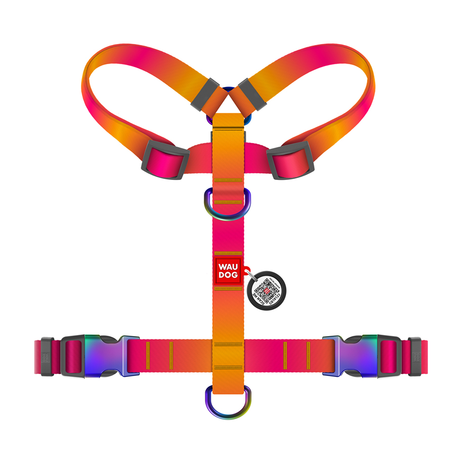 Шлея для собак анатомічна H-подібна WAUDOG Nylon Recycled з QR-паспортом, градієнт, S, Ш 15 мм, A 30-40, B 37-47 помаранчевий