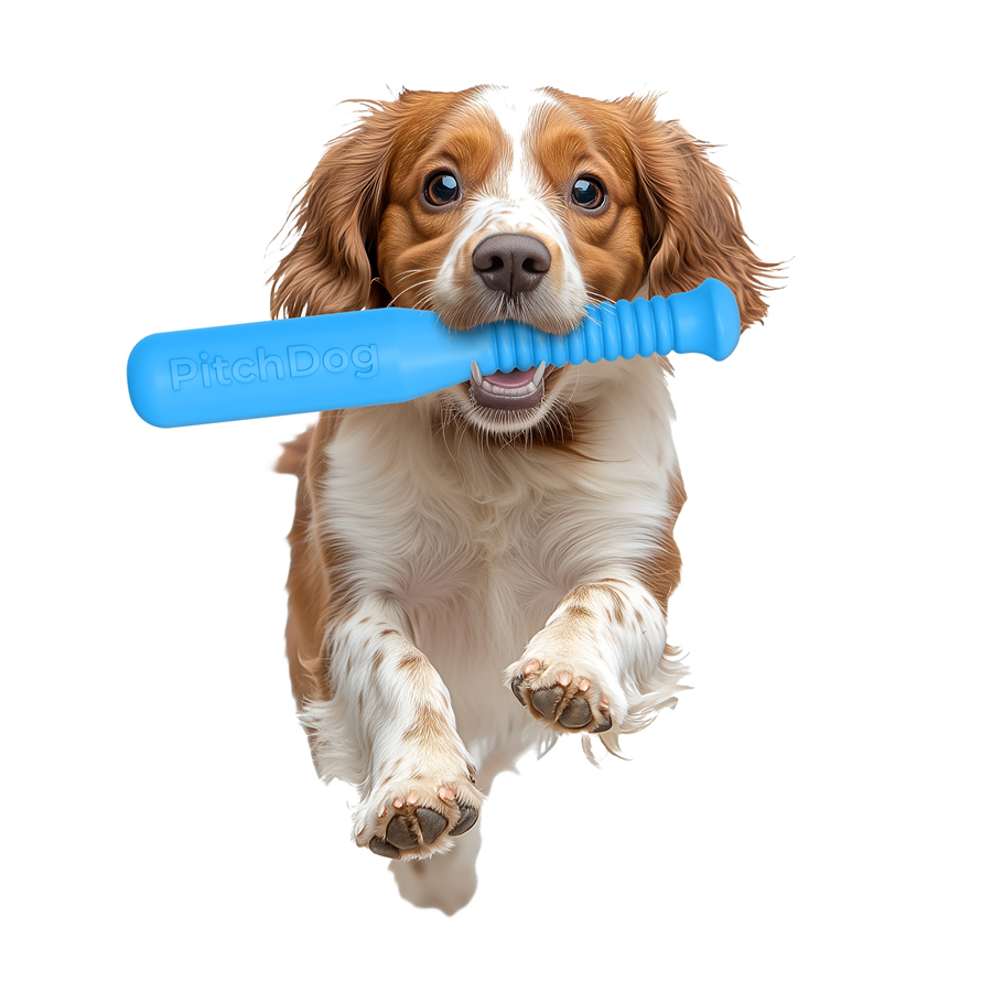 Ігрова бита для апортировки PitchDog, довжина 35 см, діаметр 6 см блакитний