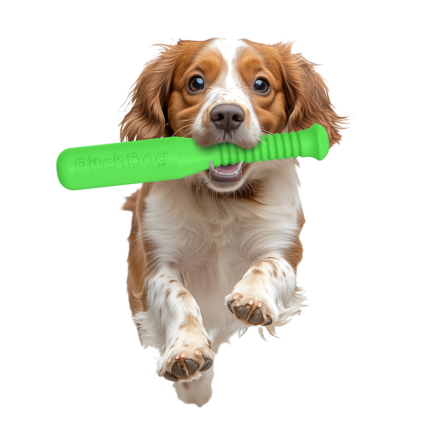 Ігрова бита для апортировки PitchDog, довжина 35 см, діаметр 6 см салатовий