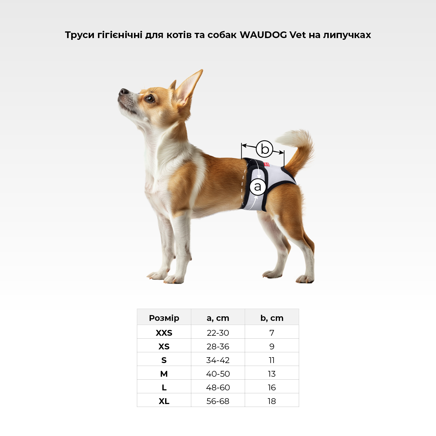 Труси гігієнічні для котів та собак WAUDOG Vet на липучках, сірий, M, А 40-50 см, В 13 см