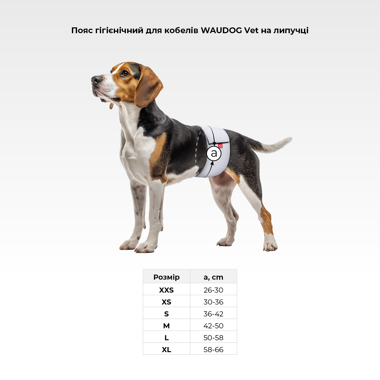 Пояс гігієнічний для кобелів WAUDOG Vet на липучці, сірий, L, А 50-58 см