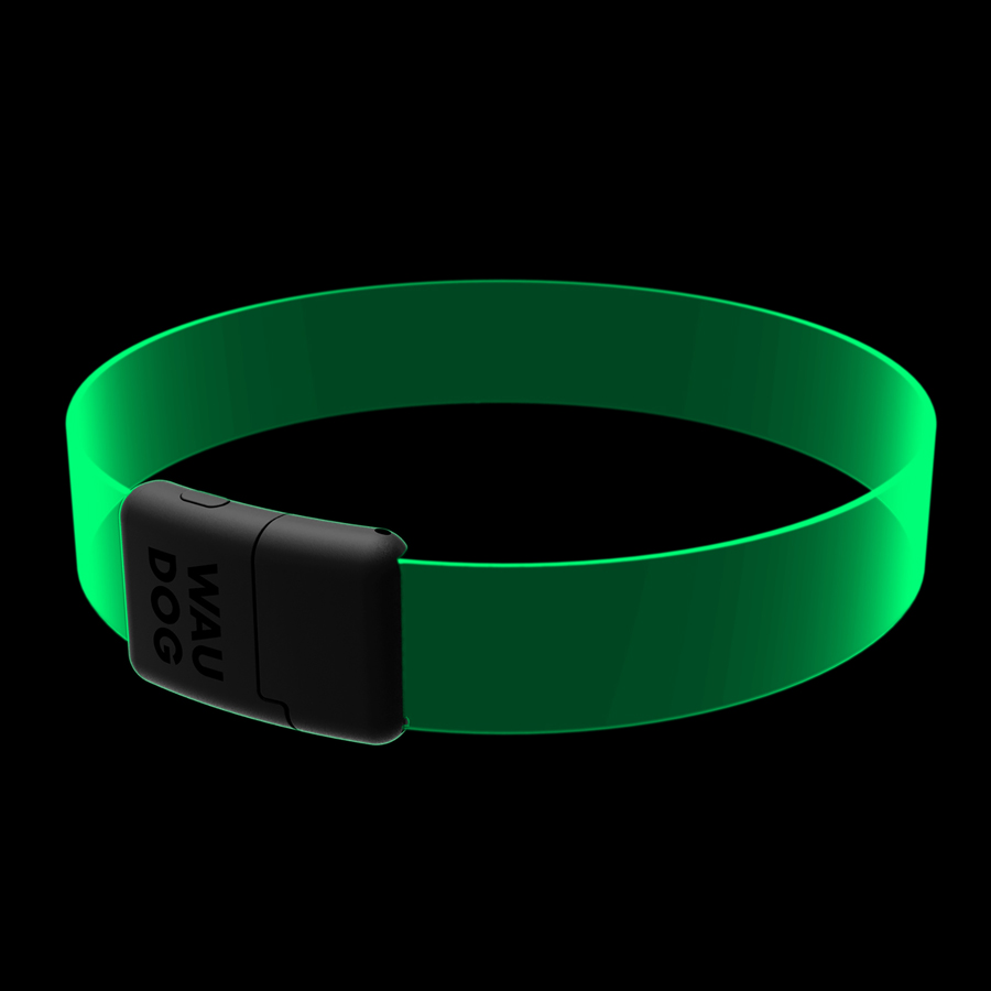 Нашийник для собак з підсвічуванням WAUDOG LED, RGB, Type-C, регульований, Ш 25 мм, Дов 60 см