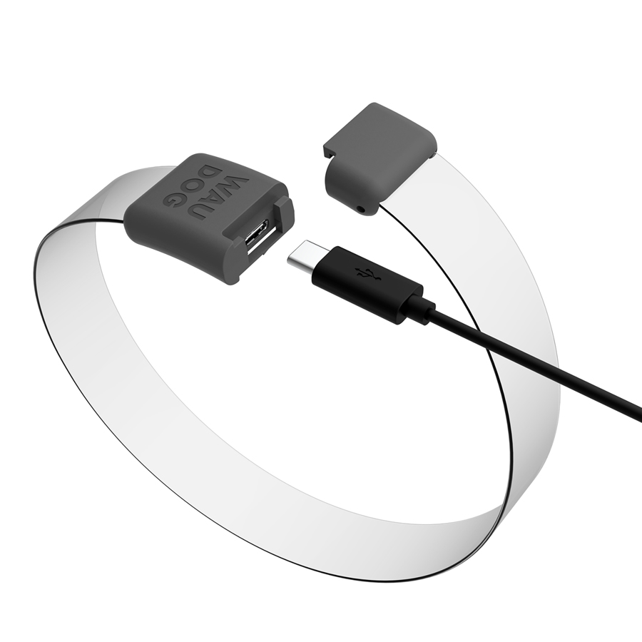 Нашийник для собак з підсвічуванням WAUDOG LED, RGB, Type-C, регульований, Ш 25 мм, Дов 60 см